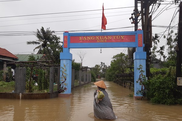 TT-Huế: Hơn 15 nghìn ha lúa và hoa màu bị hư hại do mưa lớn - Anh 2