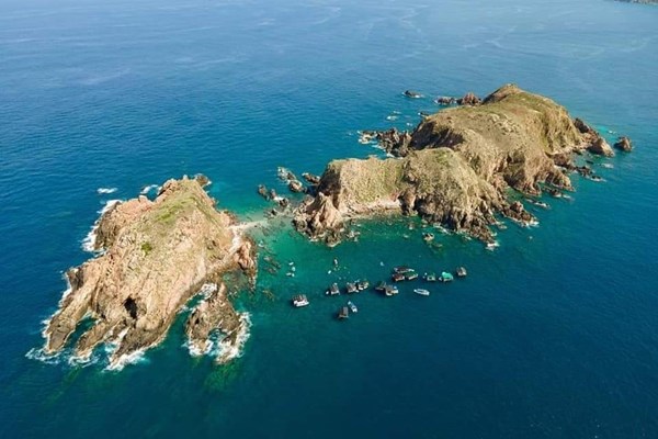 Cần có biện pháp bảo vệ rạn san hô Hòn Sẹo - Anh 1