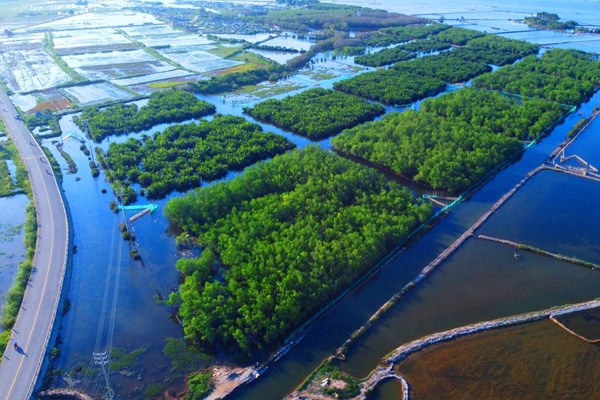 Phủ xanh phá Tam Giang - Anh 1