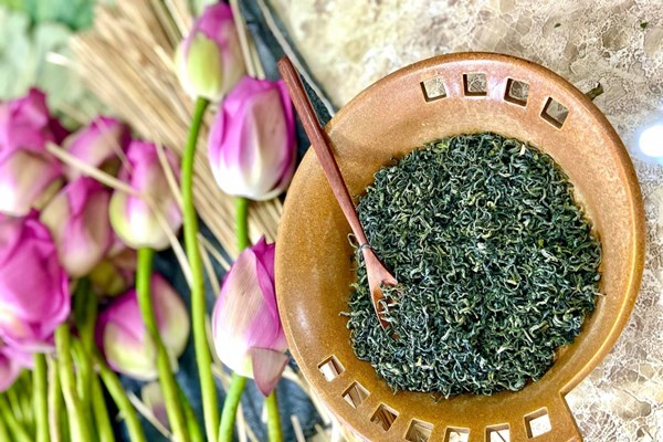 Sức hấp dẫn từ Triển lãm 