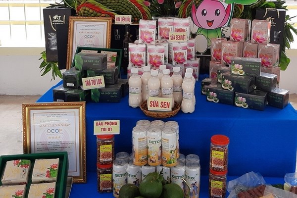 Sức hấp dẫn từ Triển lãm 