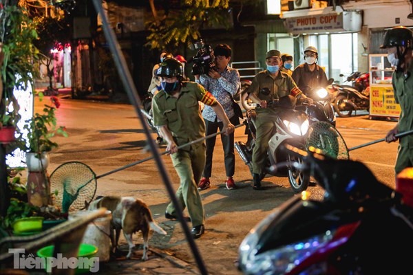 Bắt chó thả rông rất cần lực lượng chuyên trách - Anh 1