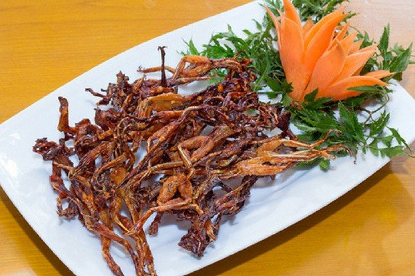 Nơi ấy ta tìm về - Anh 4
