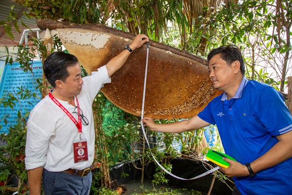 Xác lập hai kỷ lục “đặc sản” rừng U Minh - Anh 2