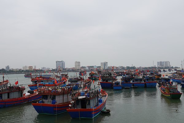 Điểm tựa giúp ngư dân vươn khơi bám biển - Anh 1