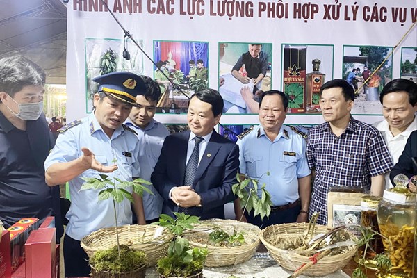 Gian hàng đặc biệt tại Phiên chợ Sâm Ngọc Linh - Anh 1