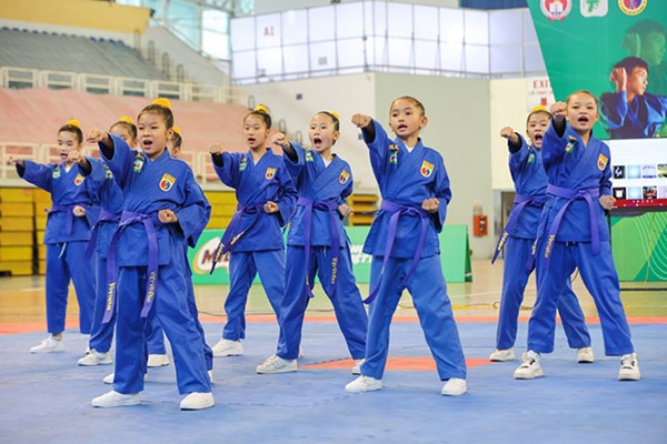 Đẩy mạnh võ Việt trong học đường - Anh 2