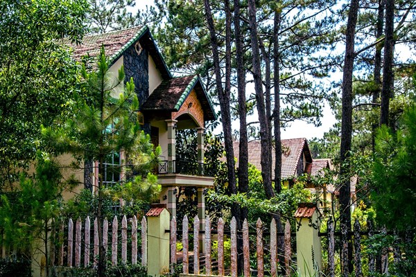 Đêm trắng ở Măng Đen - Anh 2