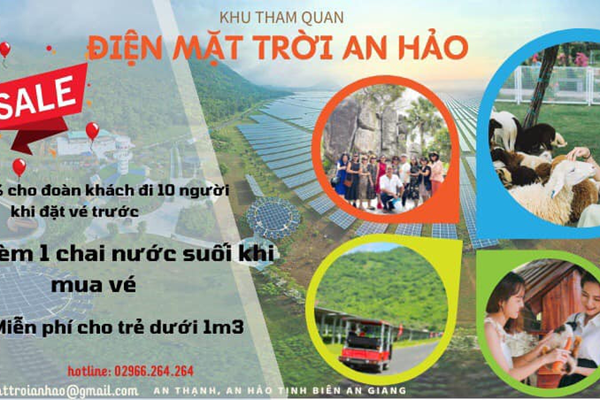 Đóa hướng dương trên dãy Thất Sơn mở cửa đón khách tham quan - Anh 2