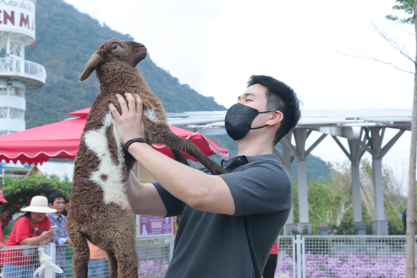 Đóa hướng dương trên dãy Thất Sơn mở cửa đón khách tham quan - Anh 5