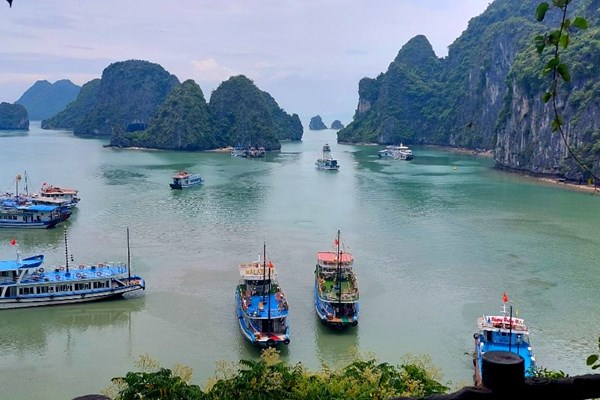 Việt Nam đến để yêu! - Anh 1