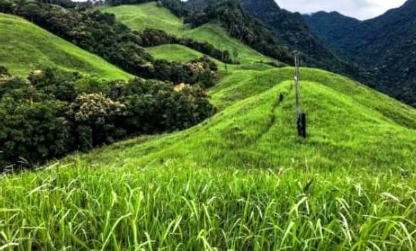 Khánh Hòa: Khảo sát xây dựng tour du lịch chinh phục đồi Yên Ngựa - Anh 1