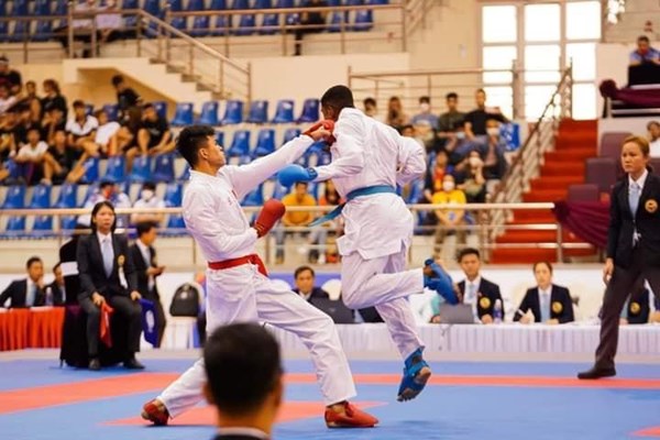 “Mưa vàng” từ các môn võ - Anh 1