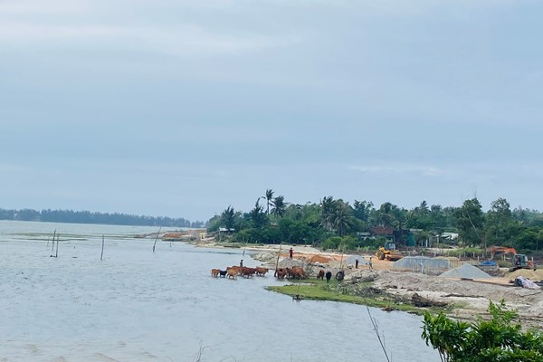 Khu bảo tồn di tích Sa Huỳnh bị... “lãng quên” - Anh 1