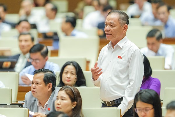 Quốc hội thảo luận về chương trình xây dựng luật, pháp lệnh - Anh 1