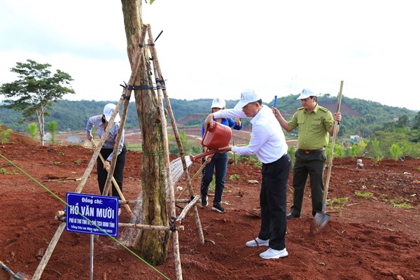 Đắk Nông sẽ trồng 3 triệu cây xanh năm 2022 - Anh 1