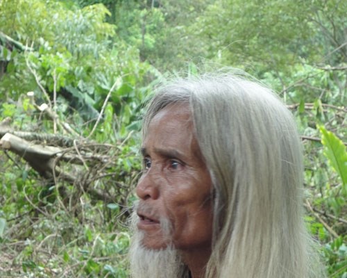 Những “cội lim” ở đại ngàn Trường Sơn - Anh 1