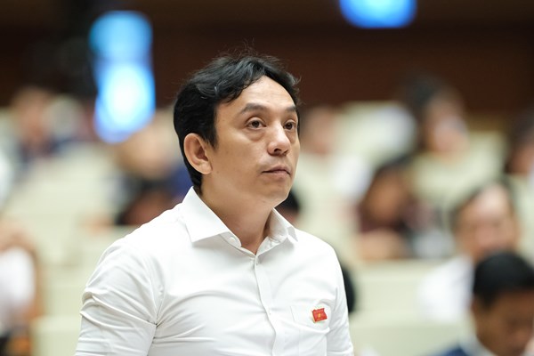 Cần có quy hoạch chuyên ngành và kỹ thuật chuyên ngành về di sản văn hóa - Anh 1