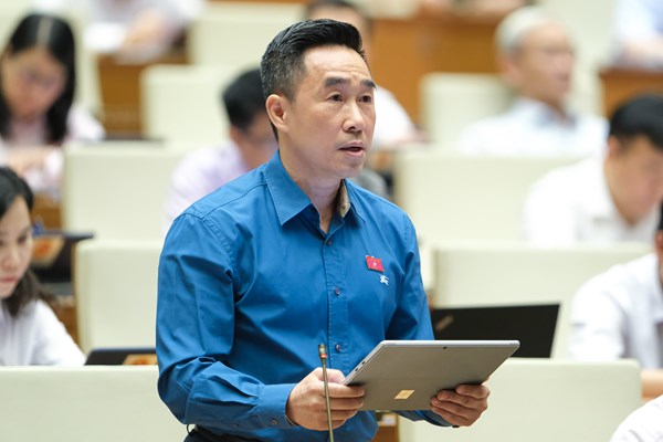 Không được ngăn chặn, cản trở việc phổ biến, sử dụng Quốc kỳ, Quốc huy, Quốc ca - Anh 2