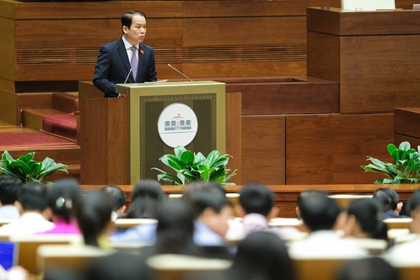 Không được ngăn chặn, cản trở việc phổ biến, sử dụng Quốc kỳ, Quốc huy, Quốc ca - Anh 1