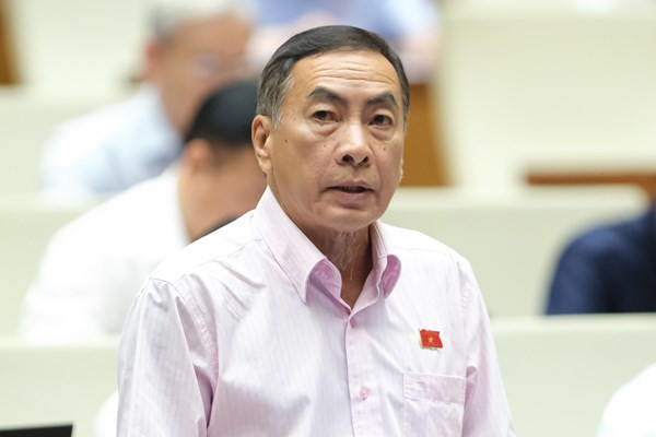 Không được ngăn chặn, cản trở việc phổ biến, sử dụng Quốc kỳ, Quốc huy, Quốc ca - Anh 3