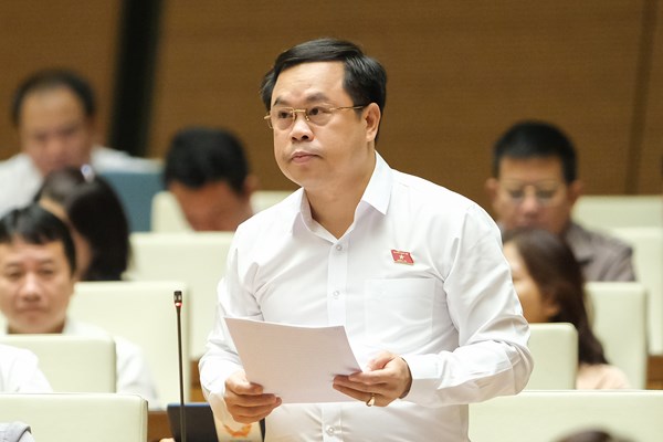 Cần có giải pháp đồng bộ cho việc bảo tồn, phát huy giá trị các di sản văn hóa - Anh 2