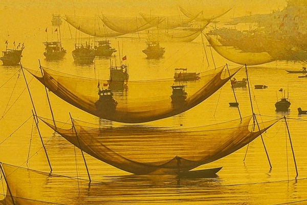 Quảng Nam: Góp ý đồ án Quy hoạch tỉnh thời kỳ 2021-2030, tầm nhìn 2025 - Anh 3