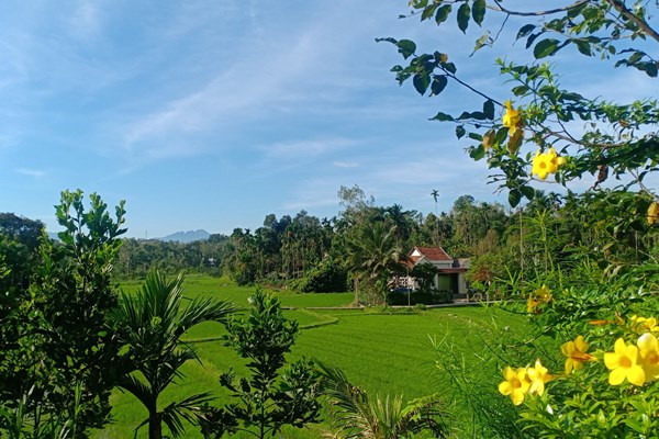 Quảng Nam: Phát triển du lịch xanh - Anh 3