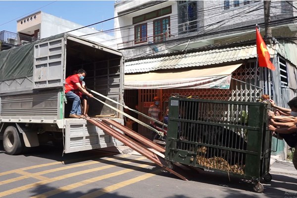 Quyết liệt hành động để chấm dứt tình trạng nuôi nhốt gấu lấy mật trên địa bàn Thủ đô - Anh 5