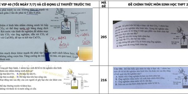Bộ GD&ĐT thông tin về vi phạm trong xây dựng đề thi môn Sinh học - Anh 1