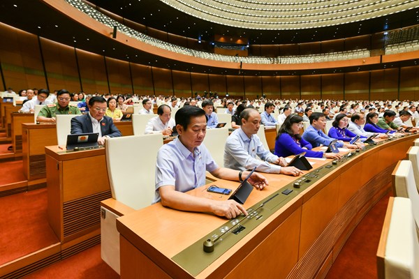 Quốc hội thông qua hai nghị quyết về việc Thành lập Đoàn giám sát chuyên đề và Luật Cảnh sát cơ động - Anh 3