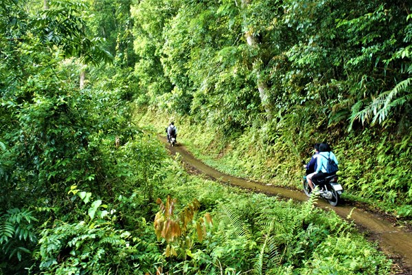 Ở ven rừng Phja Oắc có Hoài Khao - Anh 4