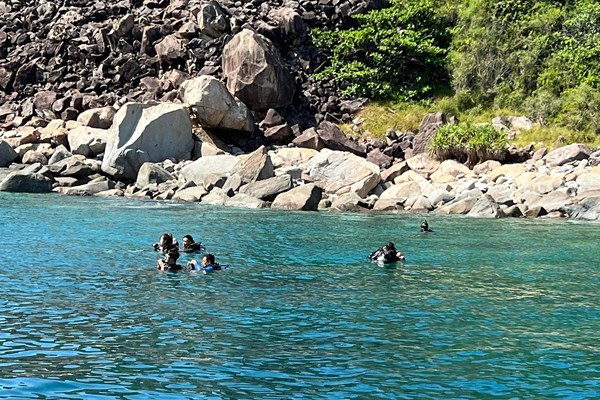 Khánh Hòa tạm dừng hoạt động lặn biển để cứu rạn san hô - Anh 3