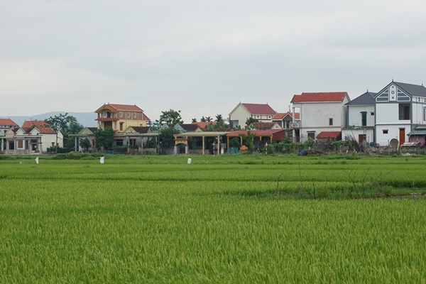 “Ốc đảo” trù phú giữa sông Gianh - Anh 2