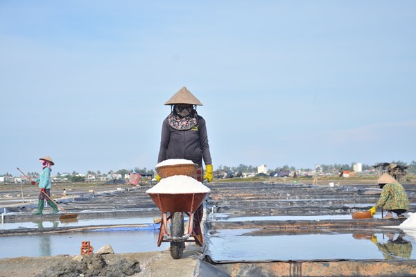 Quảng Ngãi: Giá muối tăng kỷ lục, diêm dân Sa Huỳnh phấn khởi - Anh 2