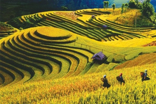 Yên Bái: Doanh thu từ hoạt động du lịch đạt 524,3 tỷ đồng - Anh 1