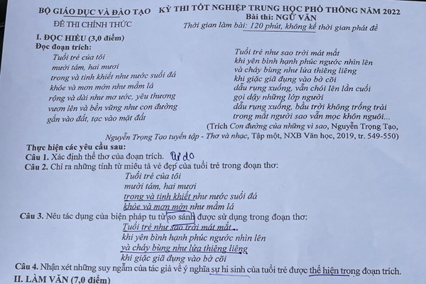 Kỳ thi tốt nghiệp THPT diễn ra an toàn, nghiêm túc - Anh 3