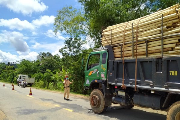 Quảng Ngãi: Xe quá tải chở gỗ keo “nhộn nhịp” trong đêm - Anh 3