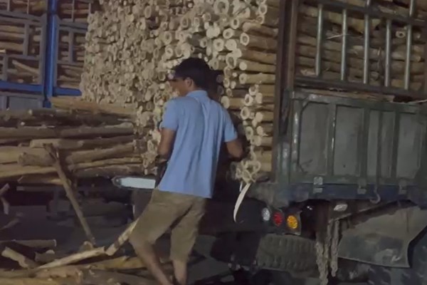 Quảng Ngãi: Quyết liệt xử lý xe chở keo quá khổ, quá tải - Anh 3