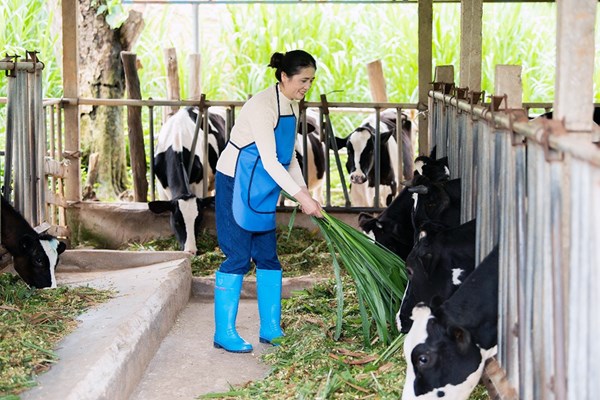 FrieslandCampina Việt Nam: Chăm sóc sức khỏe dinh dưỡng và tinh thần cho phụ nữ vùng cao - Anh 7