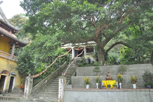 Lễ rót đồng đúc kim thân tôn tượng Đức Phật Di lặc tại chùa Hổ Sơn - Anh 3