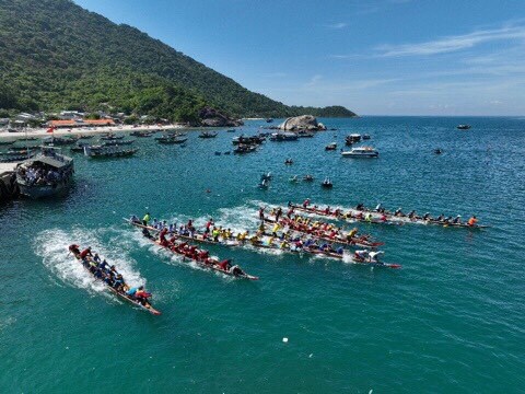 Hội An: Khai mạc Festival “Cù Lao Chàm- Mùa hoa ngô đồng đỏ” - Anh 6