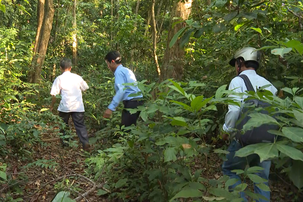 Nhờ hương ước, “lâm cấm” ở Bình Tân Phú được bảo vệ... - Anh 2