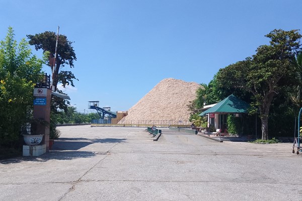 Quảng Ngãi: Xử phạt hơn 4 tỷ đồng hai doanh nghiệp vi phạm về thuế - Anh 2