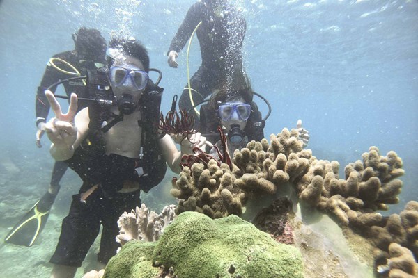 Để tour lặn ngắm san hô trở thành sản phẩm độc đáo (Bài cuối): Cần định hướng lâu dài - Anh 1