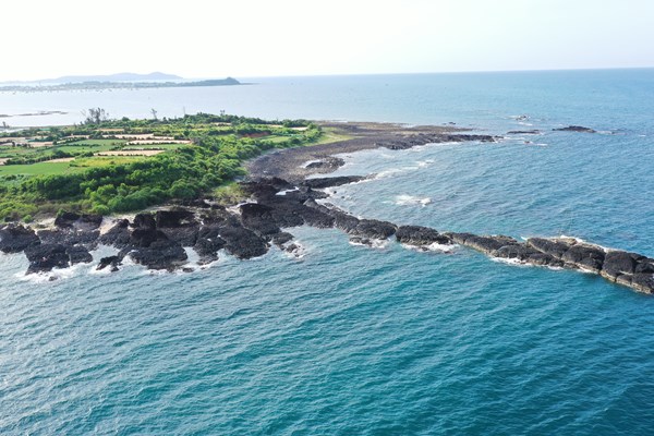 Sắc màu lung linh san hô ở biển duyên hải miền Trung - Anh 8