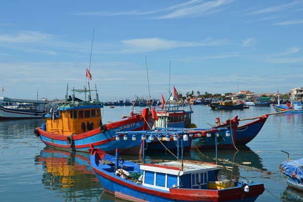 Huyện đảo Lý Sơn đẩy nhanh tiến độ các dự án quan trọng trở thành hạt nhân phát triển du lịch biển, đảo - Anh 3