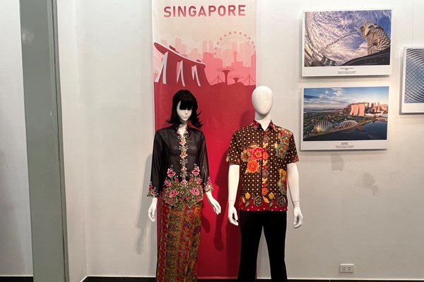 Triển lãm Sắc màu Văn hoá ASEAN - Anh 9
