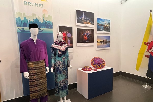 Triển lãm Sắc màu Văn hoá ASEAN - Anh 11
