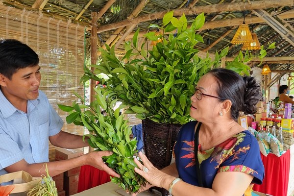 Quảng Ngãi: Phát triển sản phẩm OCOP gắn với du lịch - Anh 3